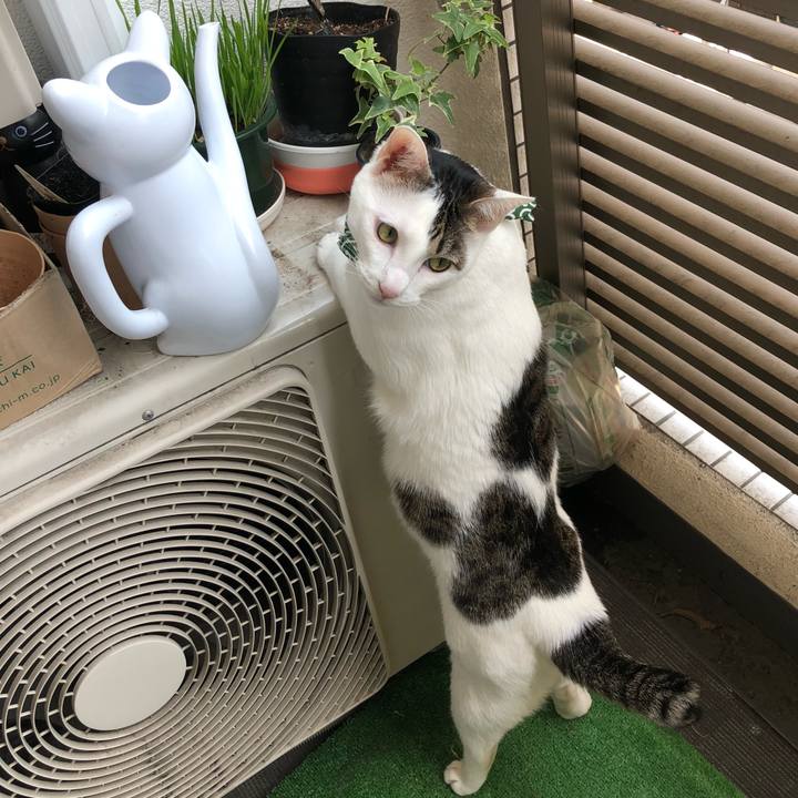 99923988 5e18 42f4 8c2c 265421595803 1527427995592