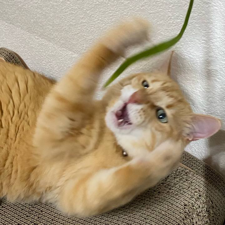 999257e4 0172 421e 99c1 8a6821d502df 1721131458782