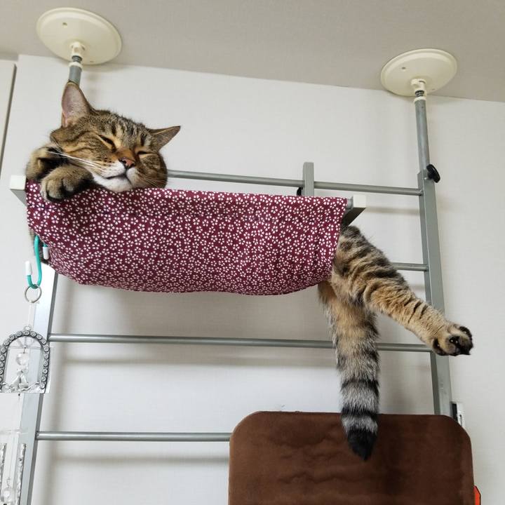 9992a108 0762 4c1c a414 d4a722c3d895 1567322591216