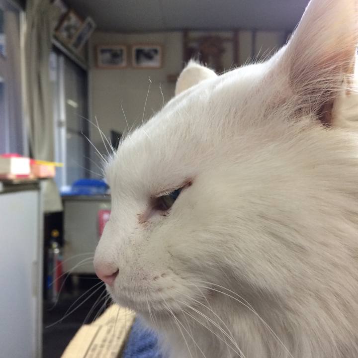 9992b57f 676d 47bb b55a 2ec3fbf8e326 1513290446984