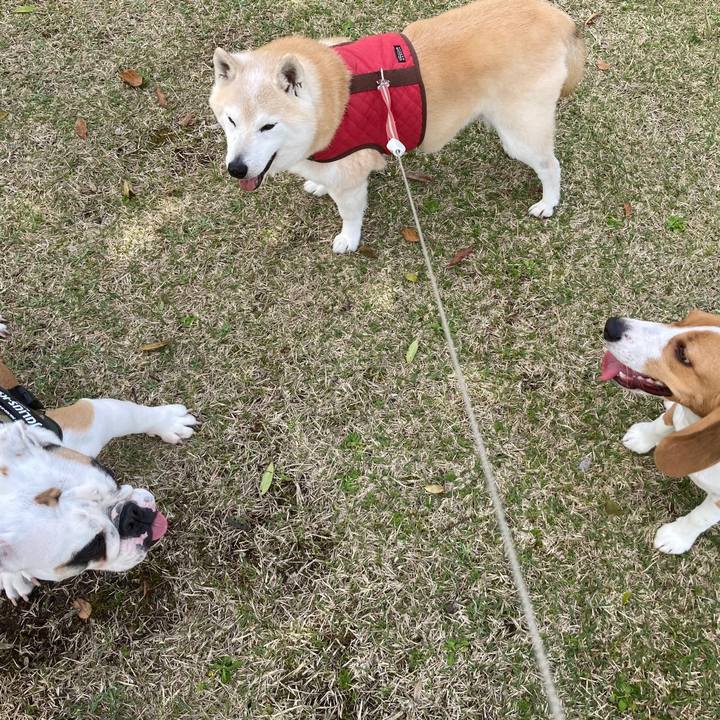 9992bf15 aad9 4c1b 8fe5 41dc39cb8b4e 1763969734615