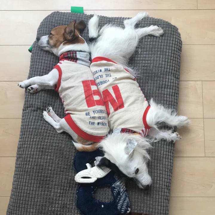 9992d9a1 5e6c 42c2 a7af e5d7b93b06d4 1538548349570