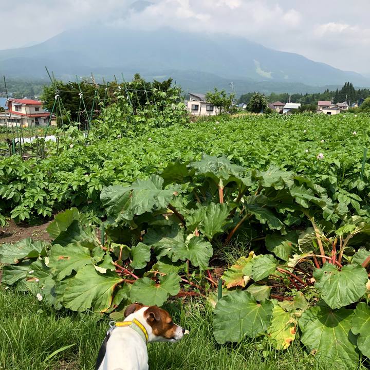 9992dfd5 5690 4037 a6b3 96e79188bc29 1529922944799