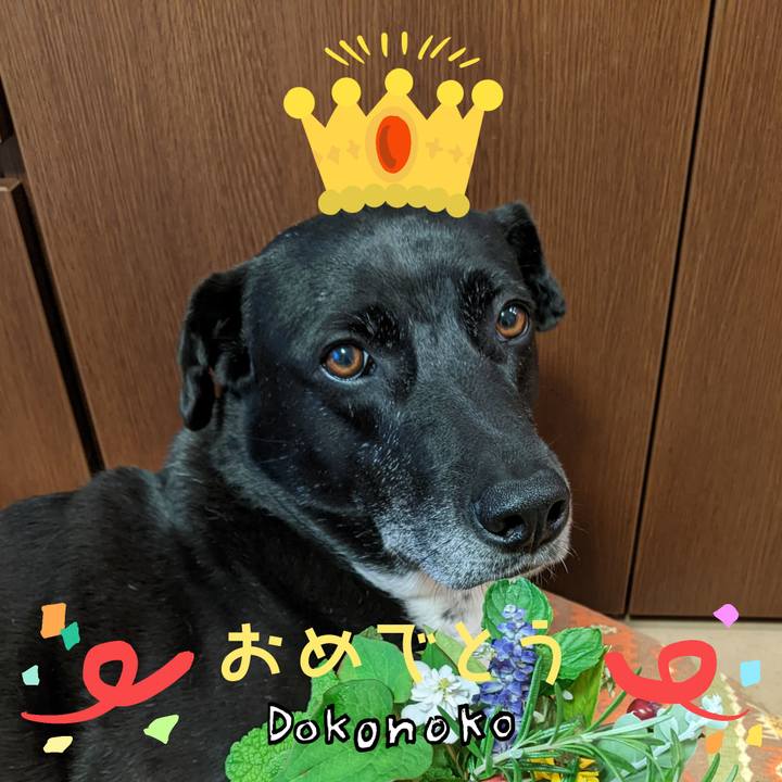 99931204 3aed 42ad b243 c30553ed4333 1685930690543