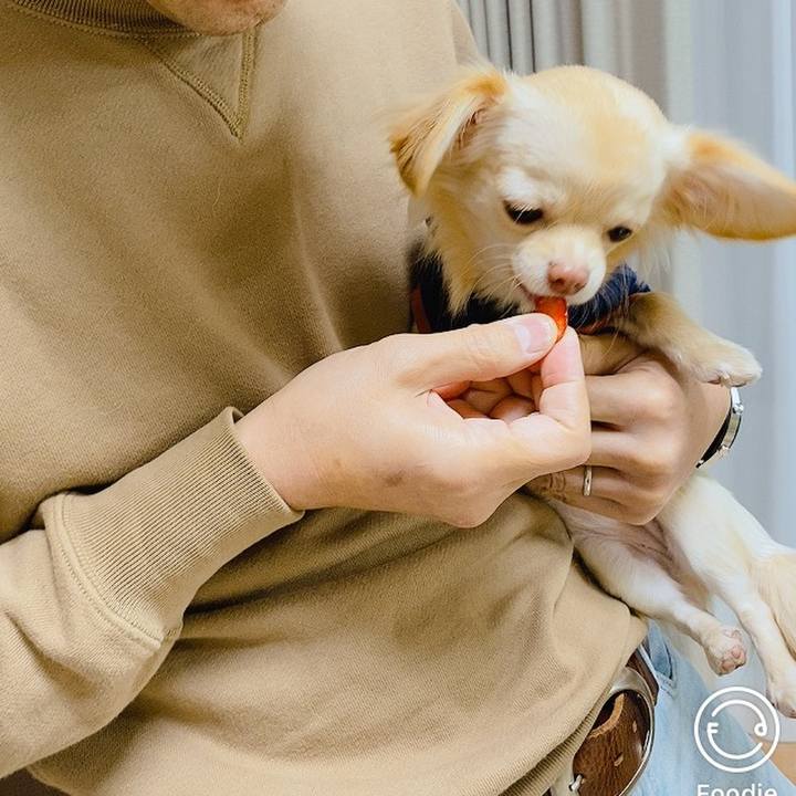 999315e3 d0a1 4d83 94b0 4fd16f4484d2 1609058085485