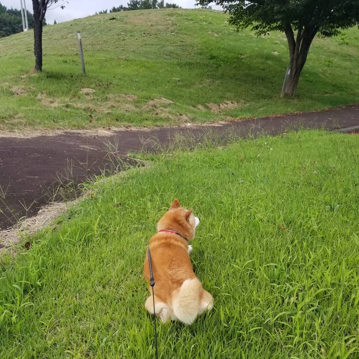 99934682 ce4d 4aa8 92a5 f016989c2353 1726214758804