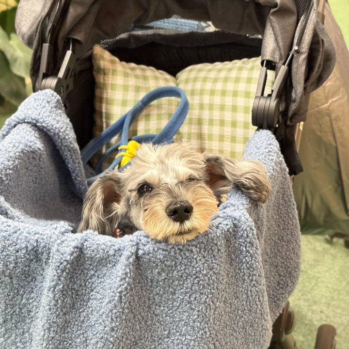 99935996 9348 4b0a 8298 a4b5dde2ba68 1762259448724