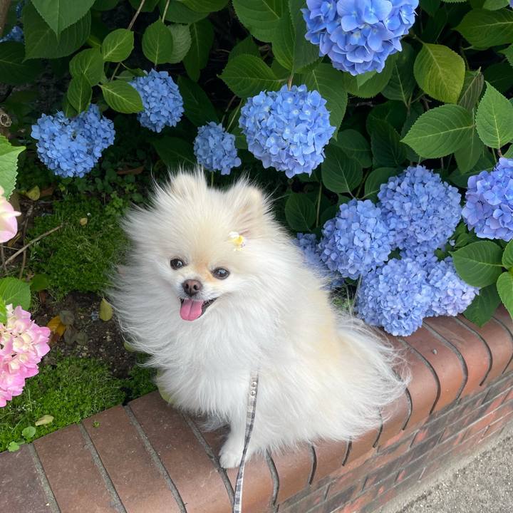 99936967 5dc9 4945 a30c dcf86d22ac9f 1622029507614