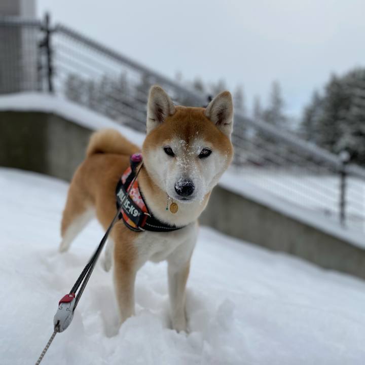 99937aa2 0669 431e 971c b20398a9b68c 1609638417988