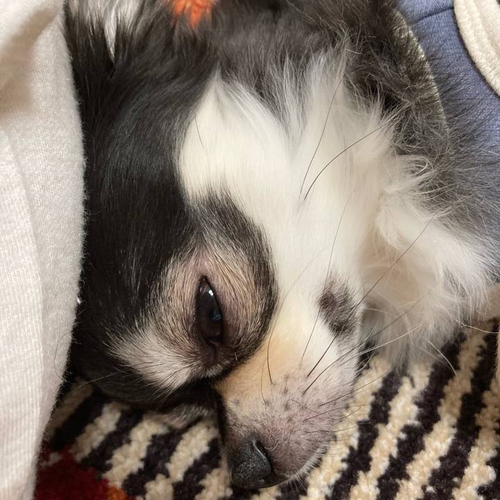 9993b0e1 e384 4f27 87f5 cff12a53c131 1671288627731