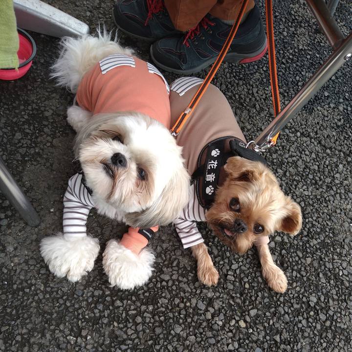 9993d520 5637 4167 bc43 e2d20c5cc25a 1621775941911