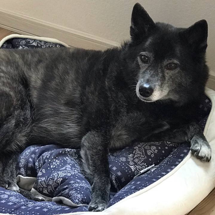 9993dafa 6757 4b59 9670 018961959818 1588848834916