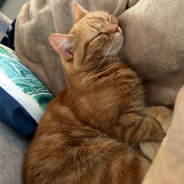 9993e7de 3caa 42df bfb1 484cf202b1ba 1715418215120