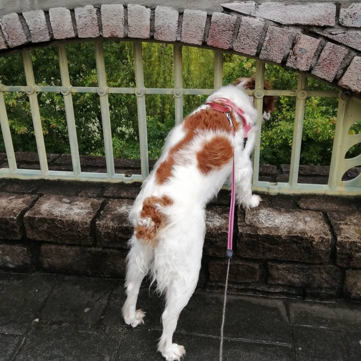 999403d0 665f 4935 a6d0 ca052b1ad136 1625302683930