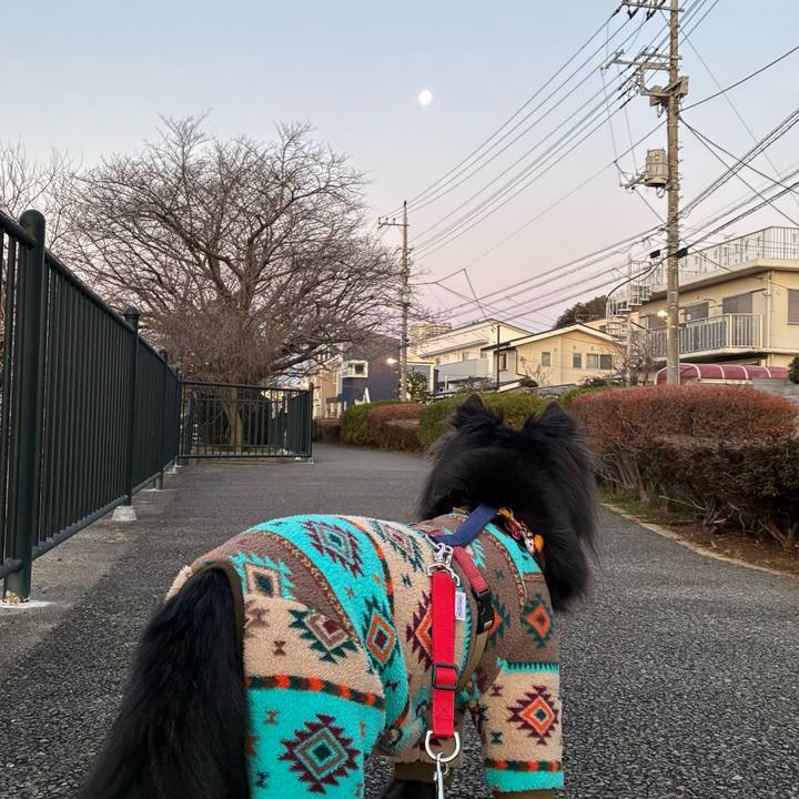 99940ca5 1ecd 4738 a2e7 eaaa2c9b21d0 1767570964435