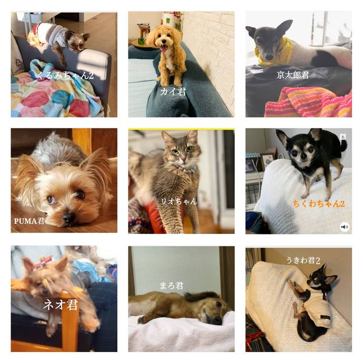 99943086 e463 4ceb 99f1 a9e5b6a64df2 1643603622728