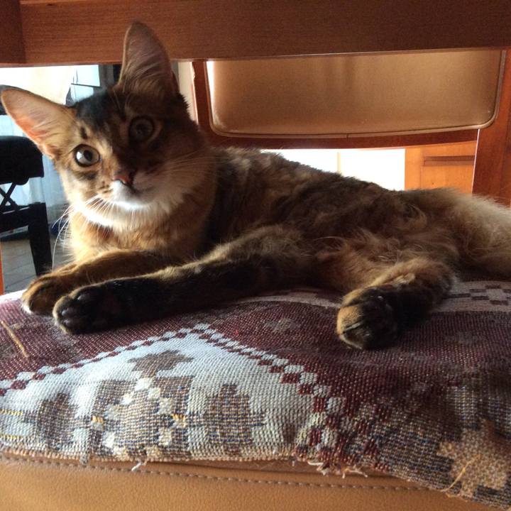 99945122 1969 416a abb8 abdd770696d2 1564985506262