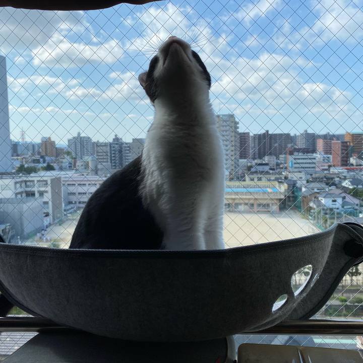 999493c7 e29c 42fb b557 519e056b95b9 1729340012688