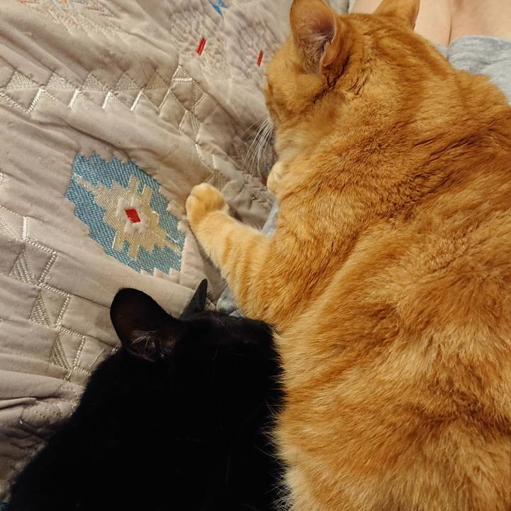 999493ce 1c35 4ae4 ab96 ed739feafc7e 1616169314375