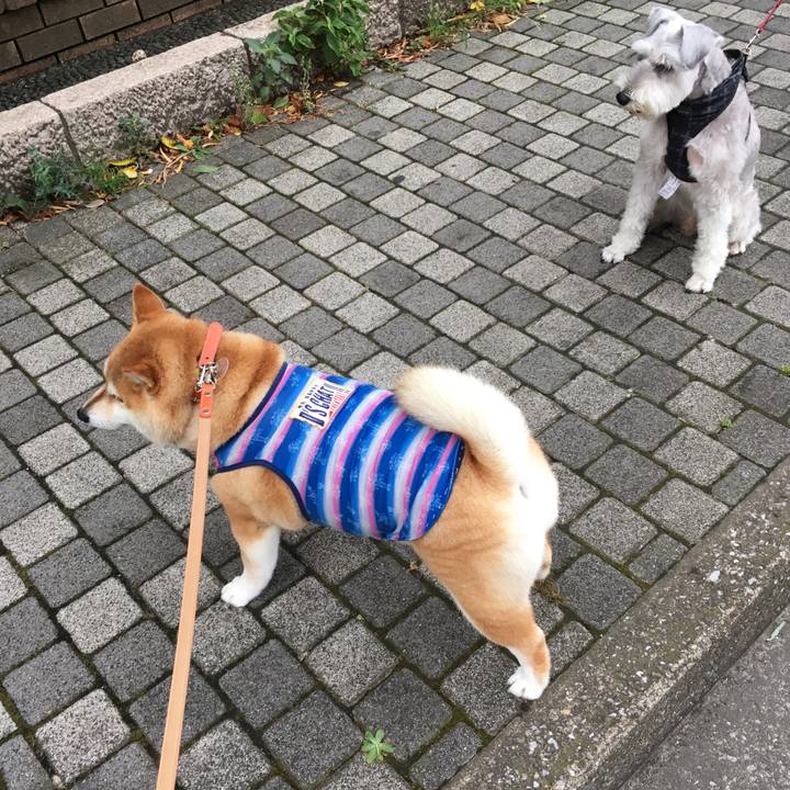 9994b8a2 6a2c 4c2c a9fb 98adc504e802 1565914828882