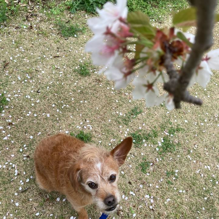 999519de 4460 4d2a 8fe6 5d00b21475b7 1712569791664