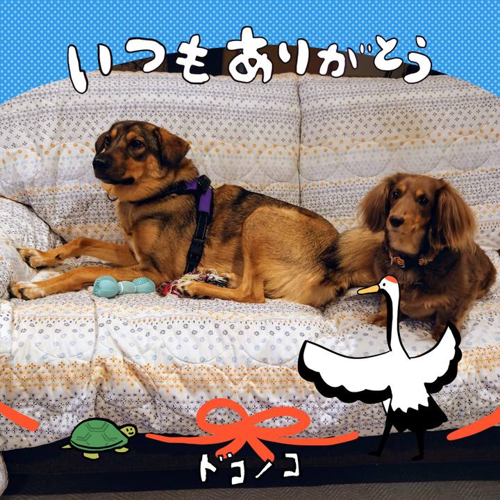 99952000 b893 4d30 8644 6cde3f1b42c2 1726817926002