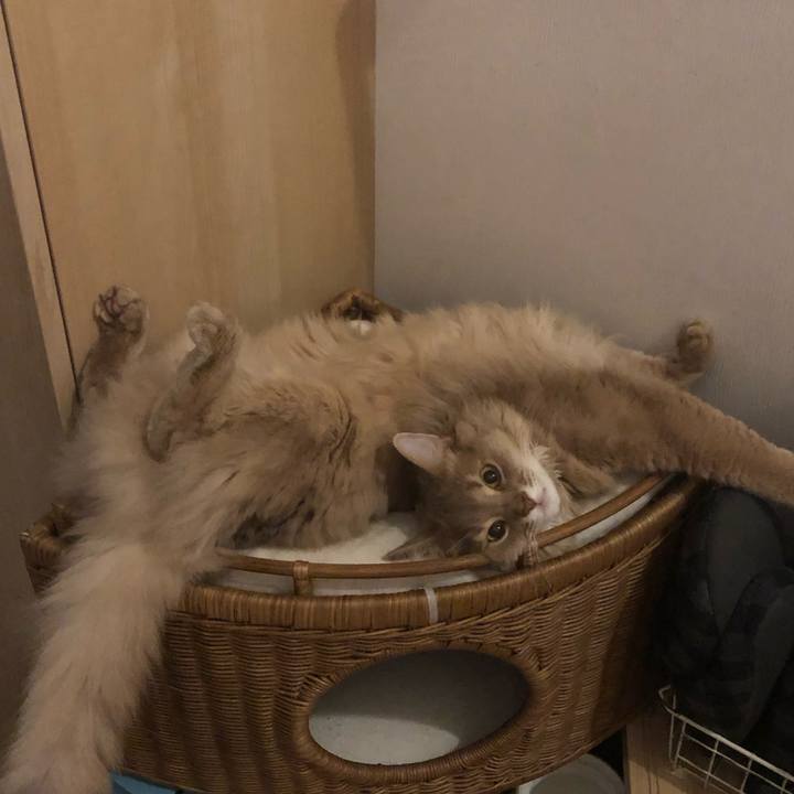 9995359e 942c 425d a7f5 8815c0df0cb3 1592534654618