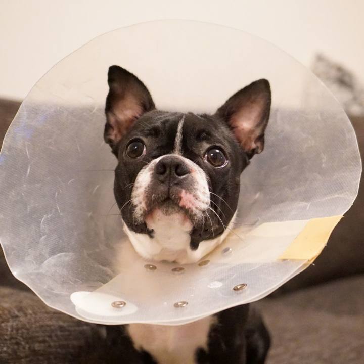 9995610f a2c8 4439 a8ed 16d55d2b79c6 1559734642819