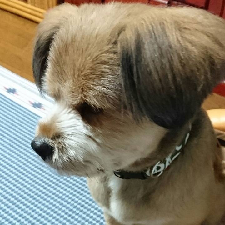 99957181 a5d3 4ff4 8242 e411a83de329 1531053451440