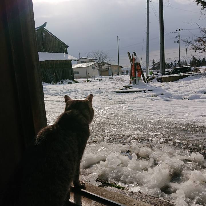 99960a37 0279 45f4 b7fa 40762977b345 1582502294499