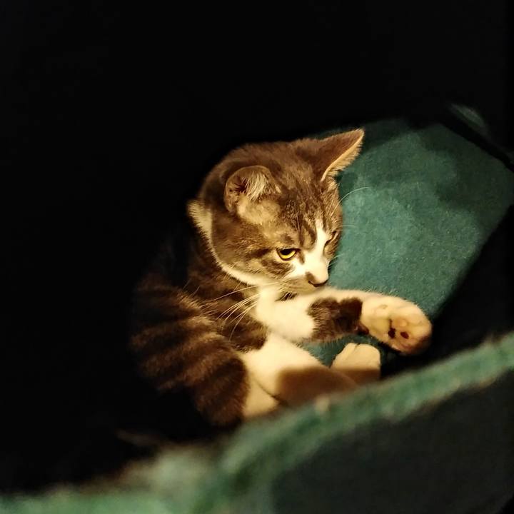 99963e7e ad24 4ae6 aa28 11afdac167c9 1576592951105