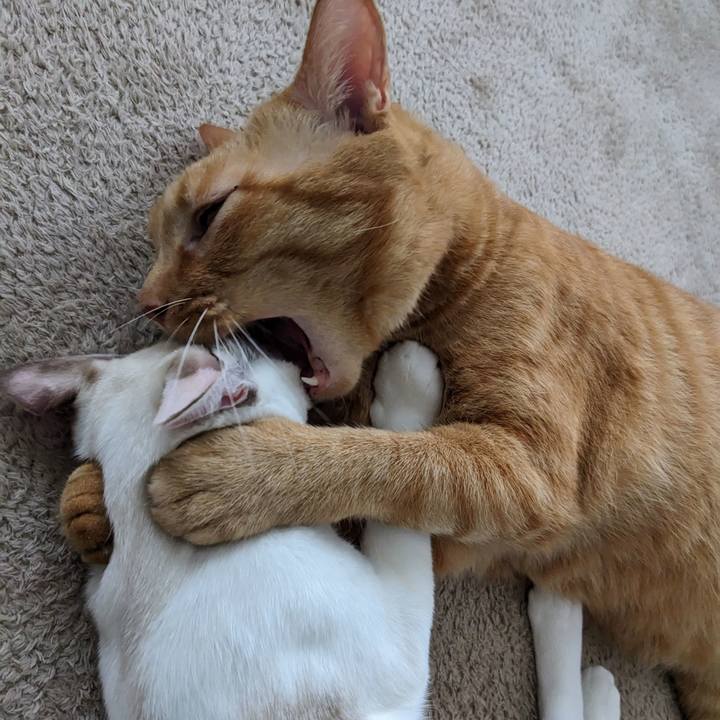 999651fd a445 4ffa 9dcf 0991982f15ba 1695283804632