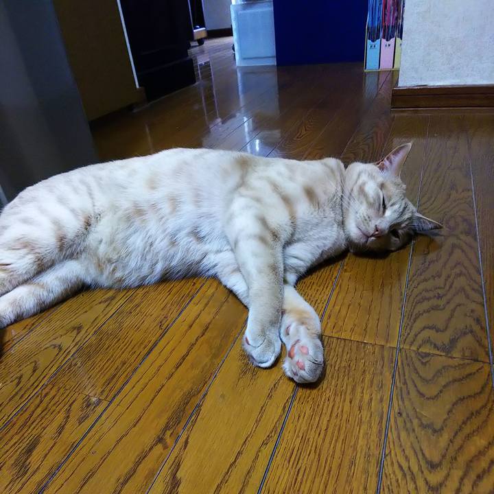 99965de2 d4eb 4aee a0e9 81a210b84ff0 1588145829523