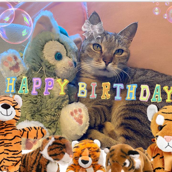 9996a11a 30c8 4e24 b524 01d8211db9c8 1646773341129