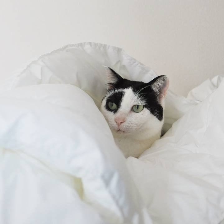 9996a927 5121 416d 945a ddae5325439a 1644542586695