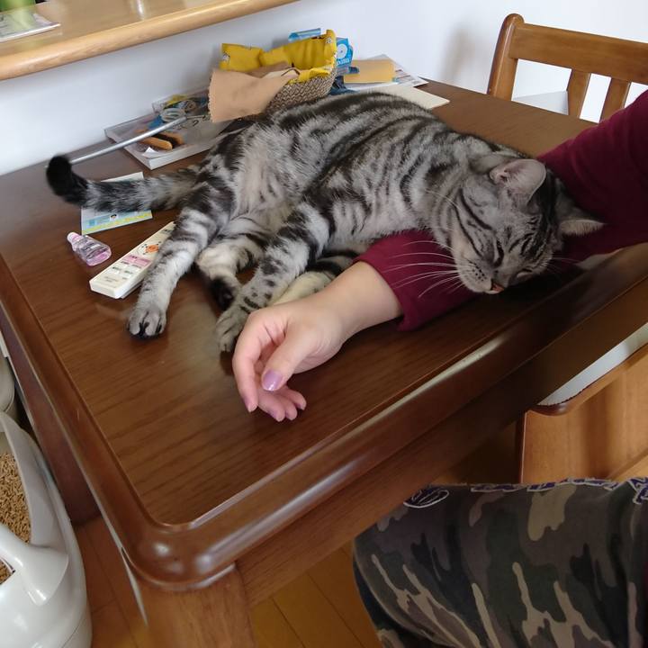 9996c904 88a5 4033 929a de97c0b1a7f9 1548987364092