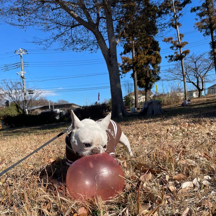 9996d56e 5e38 4987 aa50 cefc147f6b49 1736462492729