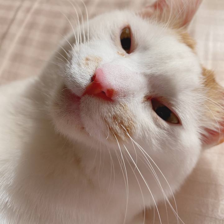 9996da37 5a38 402d a99b 93d0cc5925ec 1586389484018