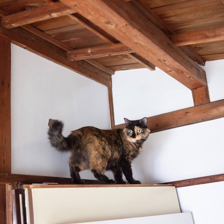 9996eb5f a439 4f2c 9079 261208a22acb 1579608371549