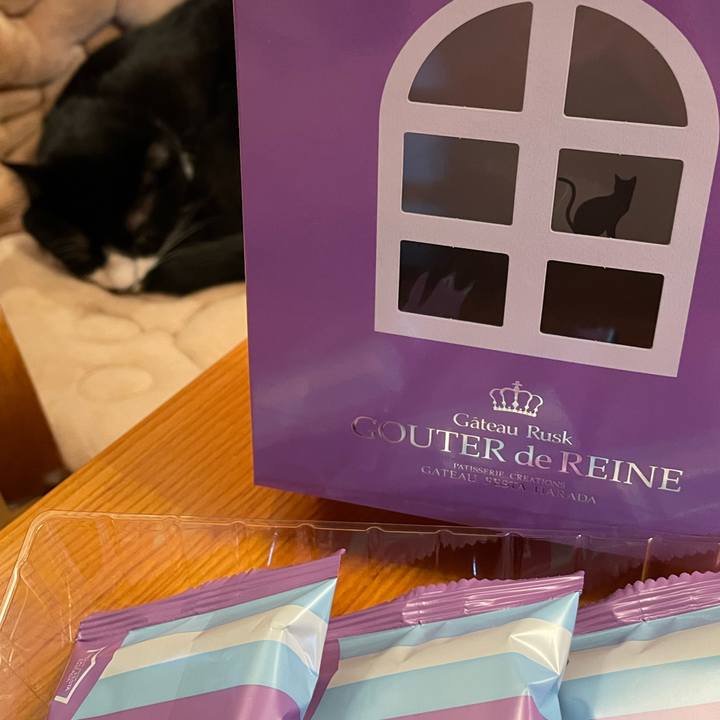 99972a93 20da 426e 9095 1fae69a8c04d 1650969109550