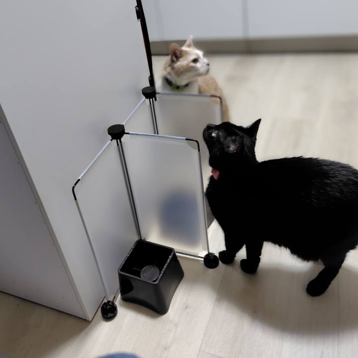 99974d39 8c80 480a b41c 7574277dfcc2 1717934981388