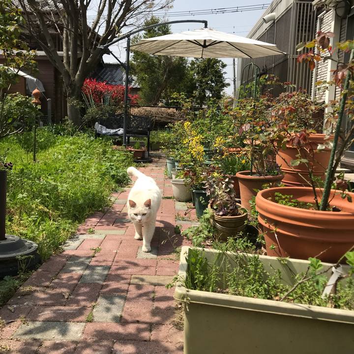 999759d8 6631 4f9a b5b6 d5714490a920 1522380627371