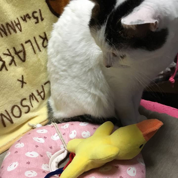 9997657c 4bab 452e 82e6 7b7b3461b863 1555163706392