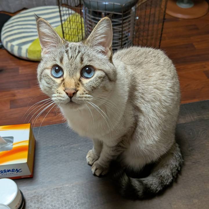 999778a9 4b16 4ca5 8672 eec15e77a9f9 1773831280375