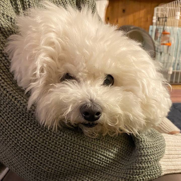 99978dc2 6278 4ccd a94e c243707b4294 1668595416498