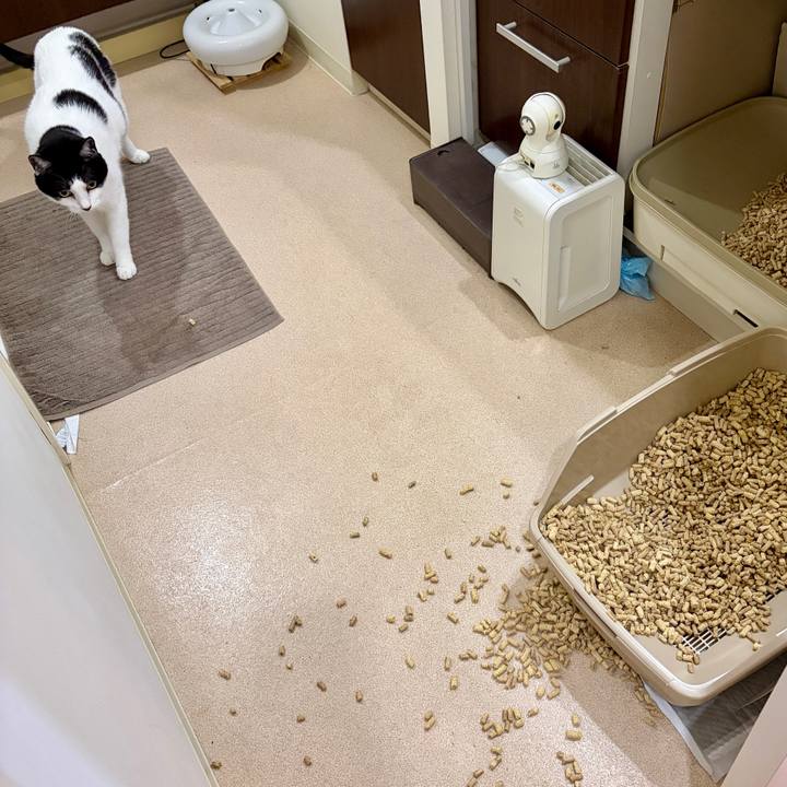 9997b570 1f13 43db 9714 9c0fc6702792 1764427537188