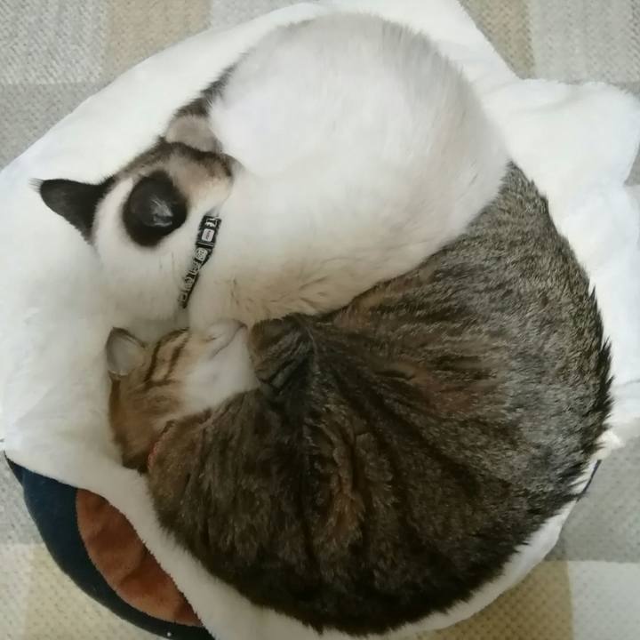 9998237a 3414 4d29 b7f2 761e919f6a06 1548118505800