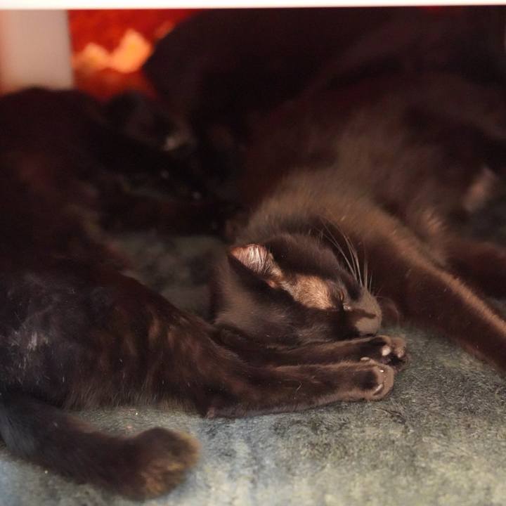 99983c42 dff1 45c9 9749 e58ec8ce2c8f 1575812880924