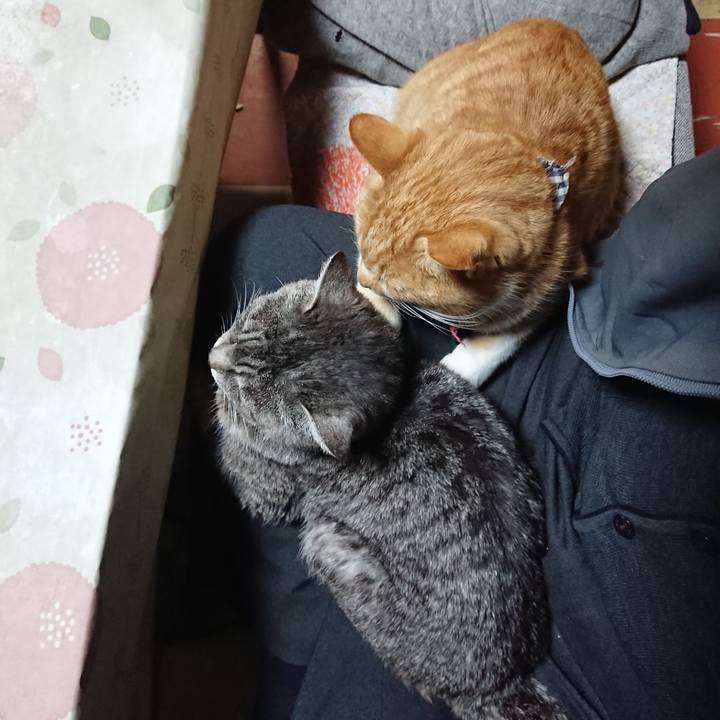 999852c2 dabe 4117 9c14 622ec0412a69 1575237448678