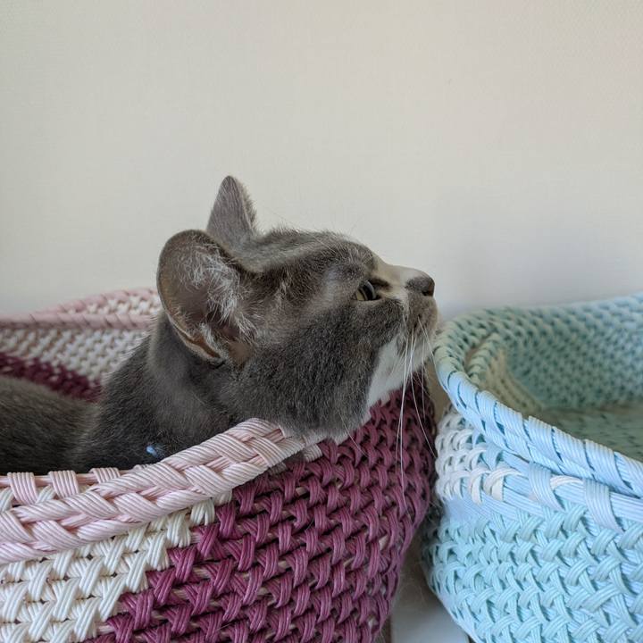 999860c7 17b5 41d5 ba1d 0dc18f648d62 1757206885312